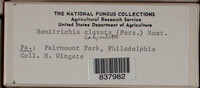 Image Associated With the Occurence